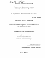 Взаимодействие малого и крупного бизнеса в мировой экономике - тема диссертации по экономике, скачайте бесплатно в экономической библиотеке