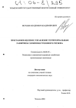 Программно-целевое управление территориальным развитием сложнопостроенного региона - тема диссертации по экономике, скачайте бесплатно в экономической библиотеке