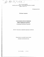 Управление корпоративными инвестициями в регионе - тема диссертации по экономике, скачайте бесплатно в экономической библиотеке