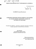 Совершенствование корпоративного управления на основе оценки рыночной стоимости крупных организаций - тема диссертации по экономике, скачайте бесплатно в экономической библиотеке