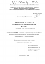 Эффективность лизинга в агропромышленном комплексе региона - тема диссертации по экономике, скачайте бесплатно в экономической библиотеке