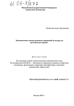 Экономические основы развития учреждений культуры на региональном уровне - тема диссертации по экономике, скачайте бесплатно в экономической библиотеке