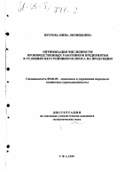 Оптимизация численности производственных работников предприятия в условиях неустойчивого спроса на продукцию - тема диссертации по экономике, скачайте бесплатно в экономической библиотеке