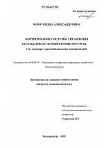 Формирование системы управления расходами на человеческие ресурсы - тема диссертации по экономике, скачайте бесплатно в экономической библиотеке