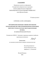 Методические подходы к оценке перспектив использования местных возобновляемых природных энергоресурсов в системе энергообеспечения региона - тема диссертации по экономике, скачайте бесплатно в экономической библиотеке