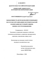 Эффективность использования мобильных ресурсов в организациях потребительской кооперации Восточной Сибири: оценка и пути повышения - тема диссертации по экономике, скачайте бесплатно в экономической библиотеке
