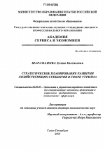 Стратегическое планирование развития хозяйствующих субъектов в сфере туризма - тема диссертации по экономике, скачайте бесплатно в экономической библиотеке