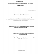 Формирование и развитие благоприятной предпринимательской сферы как основа решения социальных проблем села - тема диссертации по экономике, скачайте бесплатно в экономической библиотеке