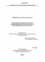 Механизмы поддержки малого предпринимательства в процессе присоединения России к ВТО - тема диссертации по экономике, скачайте бесплатно в экономической библиотеке