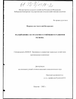 Малый бизнес и стратегия устойчивого развития региона - тема диссертации по экономике, скачайте бесплатно в экономической библиотеке