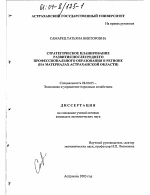 Стратегическое планирование развития послесреднего профессионального образования в регионе - тема диссертации по экономике, скачайте бесплатно в экономической библиотеке