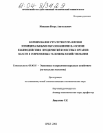 Формирование стратегии управления муниципальными образованиями на основе взаимодействия предприятий и местных органов власти в современных условиях хозяйствования - тема диссертации по экономике, скачайте бесплатно в экономической библиотеке