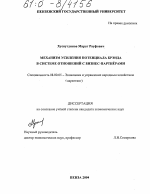 Механизм усиления потенциала брэнда в системе отношений с бизнес-партнерами - тема диссертации по экономике, скачайте бесплатно в экономической библиотеке