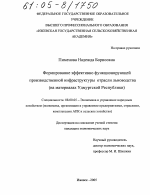 Формирование эффективно функционирующей производственной инфраструктуры отрасли льноводства - тема диссертации по экономике, скачайте бесплатно в экономической библиотеке