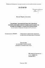 Специфика формирования механизмов регионализации и интеграции деятельности хозяйствующих субъектов территории - тема диссертации по экономике, скачайте бесплатно в экономической библиотеке