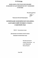 Формирование экономического механизма адаптации хозяйствующего субъекта к рыночной среде - тема диссертации по экономике, скачайте бесплатно в экономической библиотеке