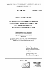 Организационно-экономический механизм функционирования правоохранительных органов крупного региона - тема диссертации по экономике, скачайте бесплатно в экономической библиотеке