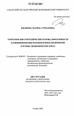 Теоретические и методические основы эффективности функционирования промышленных предприятий в особых экономических зонах - тема диссертации по экономике, скачайте бесплатно в экономической библиотеке