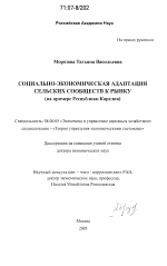 Социально-экономическая адаптация сельских сообществ к рынку - тема диссертации по экономике, скачайте бесплатно в экономической библиотеке