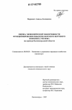 Оценка экономической эффективности функционирования объектов морского портового комплекса региона - тема диссертации по экономике, скачайте бесплатно в экономической библиотеке