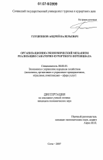 Организационно-экономический механизм реализации санаторно-курортного потенциала - тема диссертации по экономике, скачайте бесплатно в экономической библиотеке