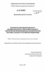 Разработка методологического, математического и инструментального обеспечения информационно-аналитической системы субъекта Российской Федерации - тема диссертации по экономике, скачайте бесплатно в экономической библиотеке