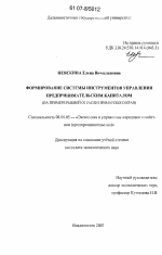 Формирование системы инструментов управления предпринимательским капиталом - тема диссертации по экономике, скачайте бесплатно в экономической библиотеке