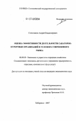 Оценка эффективности деятельности санаторно-курортных организаций в условиях современного рынка - тема диссертации по экономике, скачайте бесплатно в экономической библиотеке