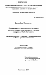 Организационно-экономический механизм реструктуризации энергокомпании в регионе - тема диссертации по экономике, скачайте бесплатно в экономической библиотеке