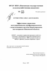 Эффективное управление интегрированными агроформированиями с использованием системы бюджетирования - тема диссертации по экономике, скачайте бесплатно в экономической библиотеке