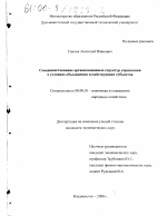 Совершенствование организационных структур управления в условиях объединения хозяйствующих субъектов - тема диссертации по экономике, скачайте бесплатно в экономической библиотеке