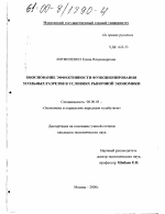 Обоснование эффективности функционирования угольных разрезов в условиях рыночной экономики - тема диссертации по экономике, скачайте бесплатно в экономической библиотеке