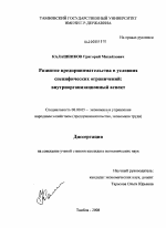 Развитие предпринимательства в условиях специфических ограничений: внутриорганизационный аспект - тема диссертации по экономике, скачайте бесплатно в экономической библиотеке