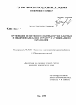 Организация эффективного взаимодействия властных и предпринимательских структур в муниципальном образовании - тема диссертации по экономике, скачайте бесплатно в экономической библиотеке