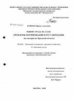 Рынок труда на селе: проблемы формирования и регулирования - тема диссертации по экономике, скачайте бесплатно в экономической библиотеке