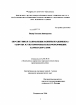 Перспективные направления развития предпринимательства в этнотерриториальных образованиях Камчатского края - тема диссертации по экономике, скачайте бесплатно в экономической библиотеке