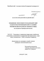 Повышение эффективности взаимодействий сельхозтоваропроизводителей в условиях формирования продовольственного рынка - тема диссертации по экономике, скачайте бесплатно в экономической библиотеке
