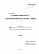 Формирование механизма инвестиционного развития вертикально интегрированных холдинговых компаний - тема диссертации по экономике, скачайте бесплатно в экономической библиотеке