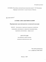 Формирование стратегий развития гостиничной индустрии - тема диссертации по экономике, скачайте бесплатно в экономической библиотеке