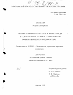 Вопросы теории и практики рынка труда в современных условиях - тема диссертации по экономике, скачайте бесплатно в экономической библиотеке