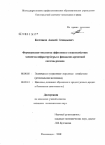 Формирование механизма эффективного взаимодействия элементов инфраструктуры и финансово-кредитной системы региона - тема диссертации по экономике, скачайте бесплатно в экономической библиотеке