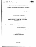 Формирование государственной инвестиционной политики в нефтяном комплексе РФ - тема диссертации по экономике, скачайте бесплатно в экономической библиотеке
