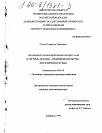 Управление экономическими процессами в системе "Человек - предпринимательство - экономическая среда" - тема диссертации по экономике, скачайте бесплатно в экономической библиотеке