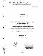 Система институциональной поддержки малого предпринимательства в Российской Федерации: содержание, пути совершенствования - тема диссертации по экономике, скачайте бесплатно в экономической библиотеке