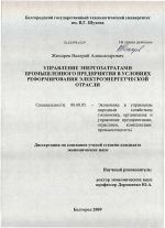 Управление энергозатратами промышленного предприятия в условиях реформирования электроэнергетической отрасли - тема диссертации по экономике, скачайте бесплатно в экономической библиотеке