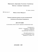 Развитие страхового рынка в системе экономической безопасности Республики Таджикистан - тема диссертации по экономике, скачайте бесплатно в экономической библиотеке