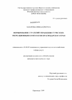 Формирование стратегий управления туристско-рекреационным комплексом Краснодарского края - тема диссертации по экономике, скачайте бесплатно в экономической библиотеке