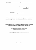 Совершенствование прогнозирования экономического развития в рамках модели самоорганизации инновационно-инвестиционной деятельности предприятий на примере нефтехимического комплекса - тема диссертации по экономике, скачайте бесплатно в экономической библиотеке