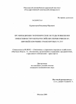 Организационно-экономические методы повышения эффективности работы российских перевозчиков на европейском рынке транспортных услуг - тема диссертации по экономике, скачайте бесплатно в экономической библиотеке