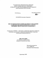 Инструменты программно-целевого управления развитием биоэнергетического сектора топливно-энергетического комплекса - тема диссертации по экономике, скачайте бесплатно в экономической библиотеке